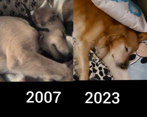 28. Handy-Fotochallenge - Damals und heute-Beitrag-Bild