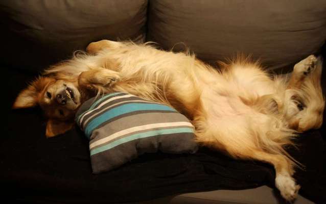 Foto Challange Nr.80-Beitrag-Bild