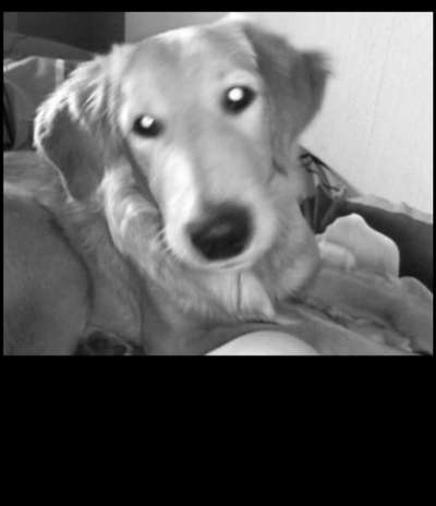 Foto Challenge 82-Beitrag-Bild