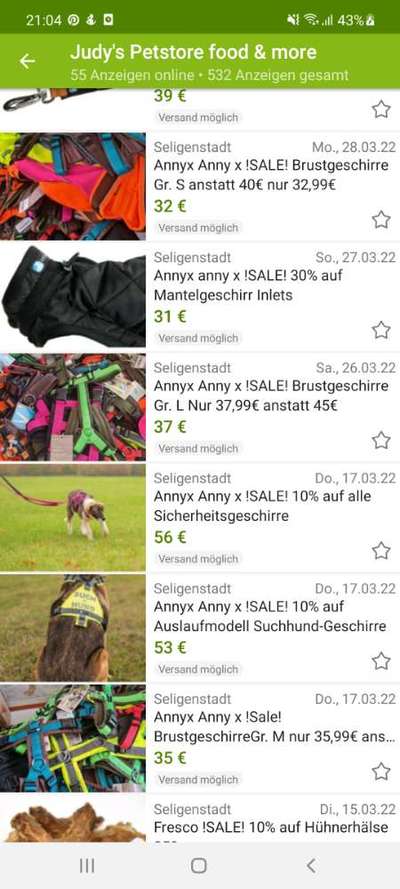 Hundegeschirr für Welpen-Beitrag-Bild