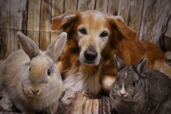 Handy-Foto-Challange Nr. 8-Beitrag-Bild