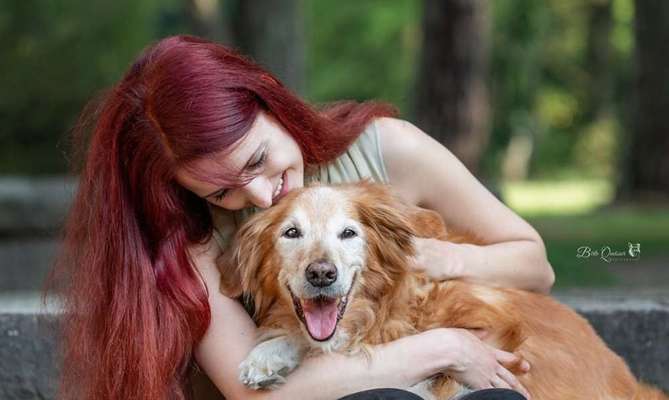 98.Fotochallange  - Hunde zeigen Zuneigung-Beitrag-Bild