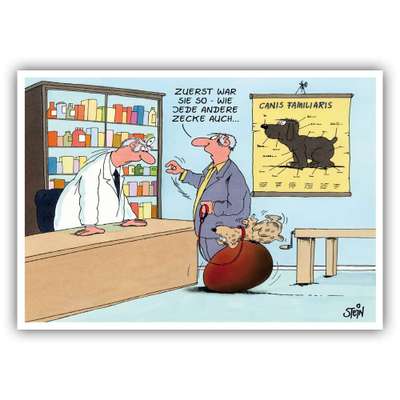 Wer kennt dieses Tier?-Beitrag-Bild