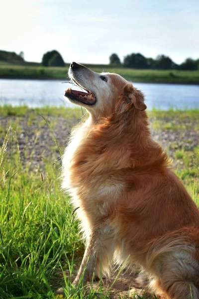 FOTOCHALLENGE 86-Beitrag-Bild