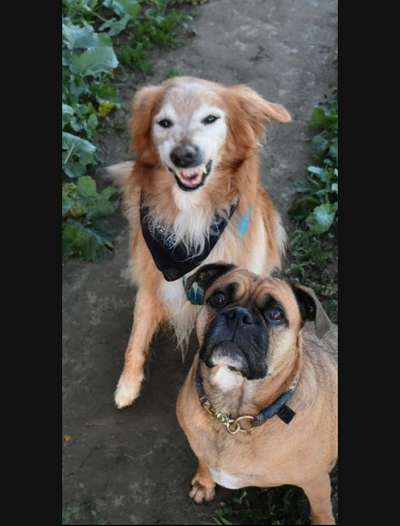 Lustige Grimassen & verrückte Posen-Beitrag-Bild