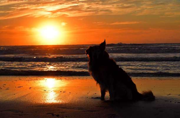 Fotochallenge Nr.100 Urlaubsimpressionen-Beitrag-Bild