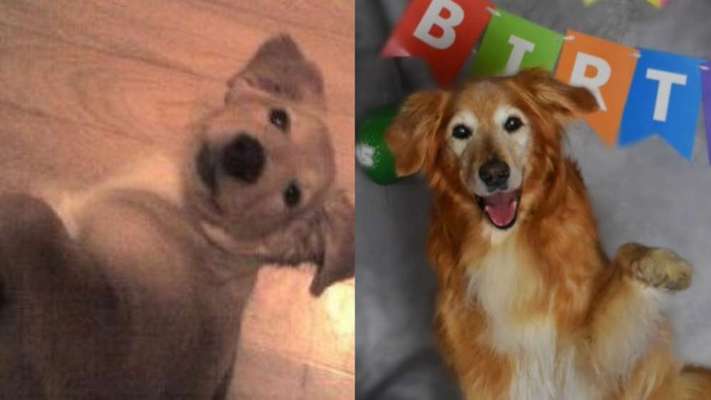 Sie werden so schnell groß!-Beitrag-Bild