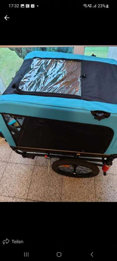 Collies gesucht-Beitrag-Bild