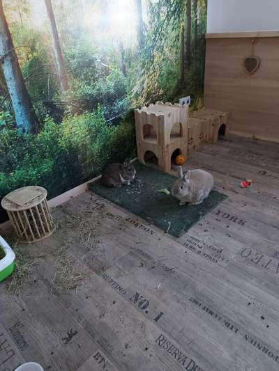 Dreckige Wand Kratzstelle-Beitrag-Bild