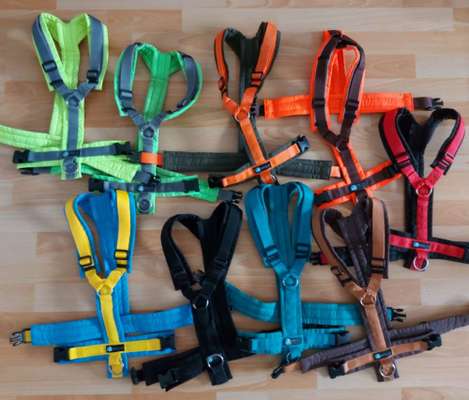 Wieviel Geschirre und Leinen habt Ihr?-Beitrag-Bild