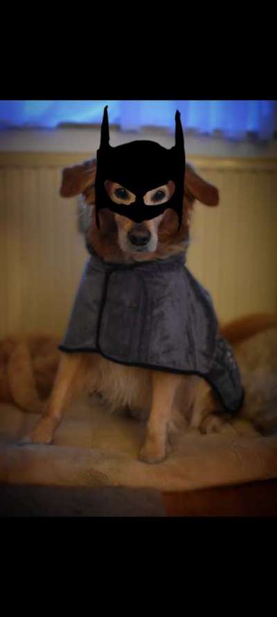 Moviestar-Pics!-Beitrag-Bild