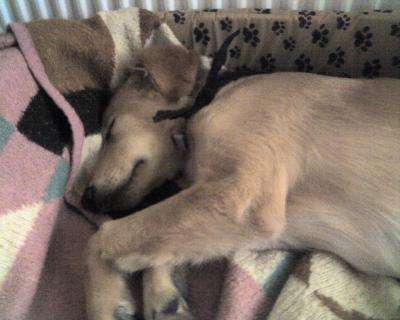 Erzählt eure Erfolgsstorys!-Beitrag-Bild