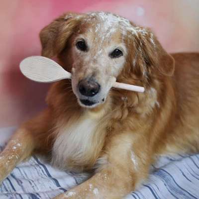 Fotochallenge Nr. 56 - geliebte Senioren-Beitrag-Bild