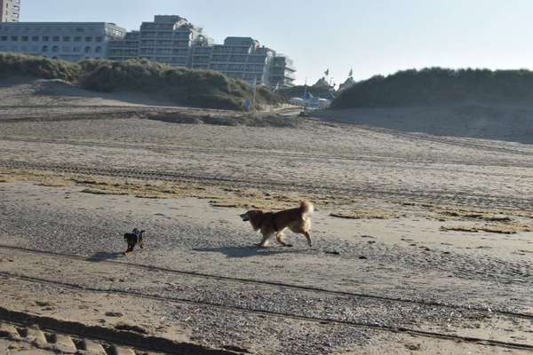 Bright side of life! Schönwetter-Thread-Beitrag-Bild