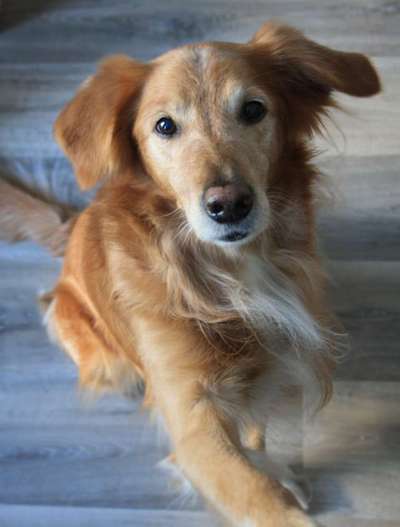 Von oben-Beitrag-Bild