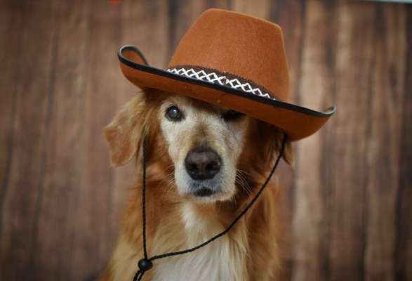 Moviestar-Pics!-Beitrag-Bild