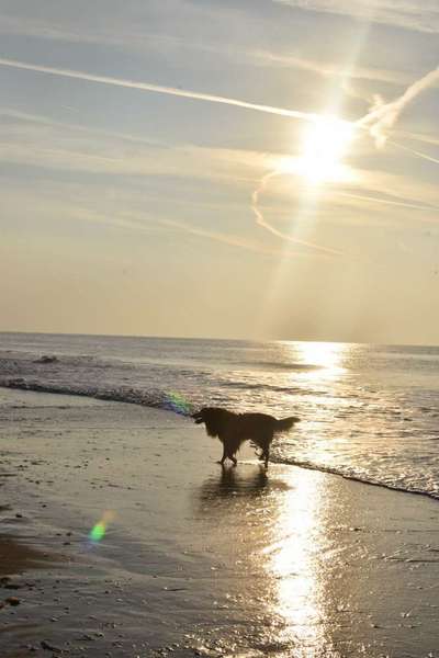 Theos Fotochallange Nummer 4-Beitrag-Bild