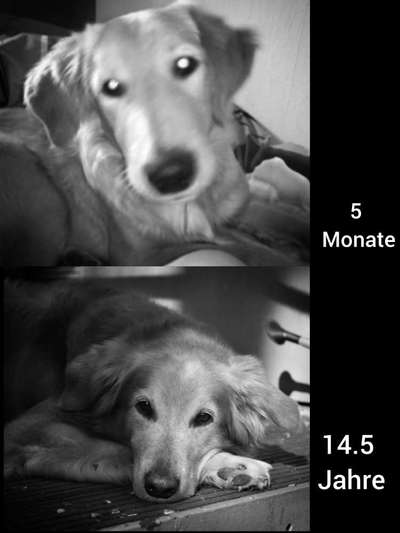 Vorher.... Nachher-Beitrag-Bild