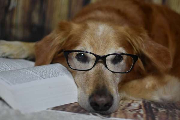 Fotochallange Nr. 57     PORTRÄT.   Beendet!!!!!!!!-Beitrag-Bild