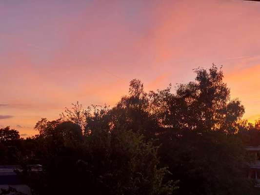 Alles rund um den Schäferhund, diskutieren erwünscht.-Beitrag-Bild