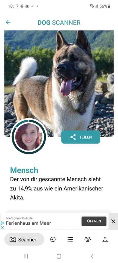 Dog Scanner - welche Rasse hat dein Mensch?-Beitrag-Bild