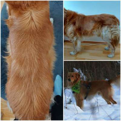 Der Gewichts-Thread-Beitrag-Bild