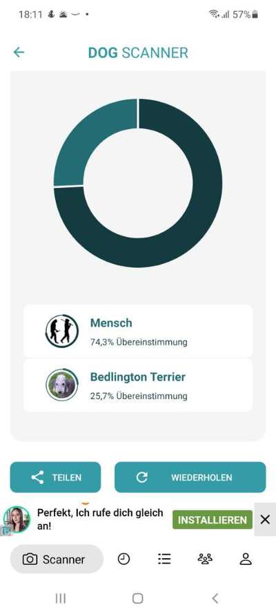 Dog Scanner - welche Rasse hat dein Mensch?-Beitrag-Bild