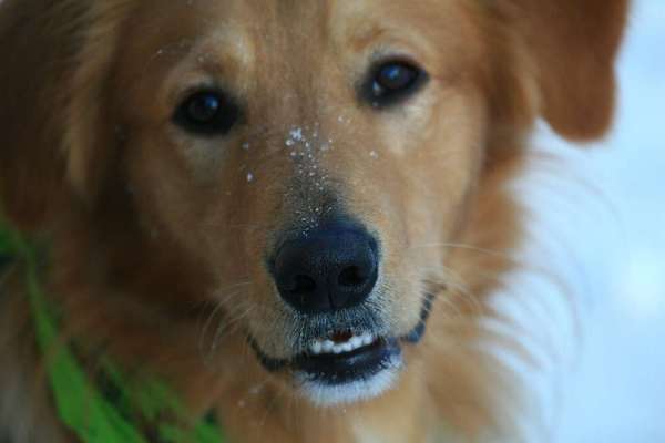 Lieblingsbild-Beitrag-Bild