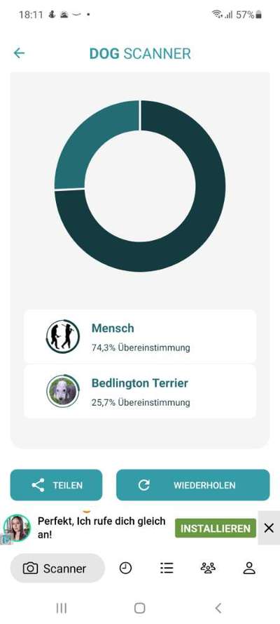 Hunderasse gesucht-Beitrag-Bild