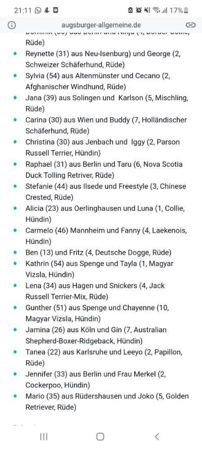 Top Dog-der Live Ticker Thread-Beitrag-Bild