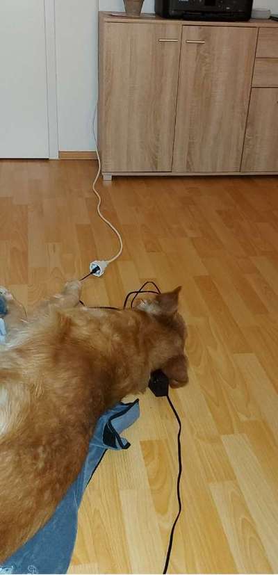 4. Lustiger Schlafplatz-Beitrag-Bild