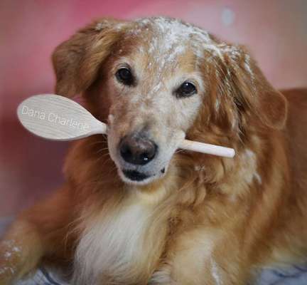 Trick Challenge 13 - Etwas Halten-Beitrag-Bild