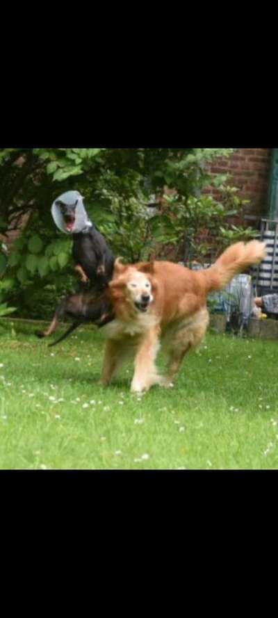 Lustige Grimassen & verrückte Posen-Beitrag-Bild