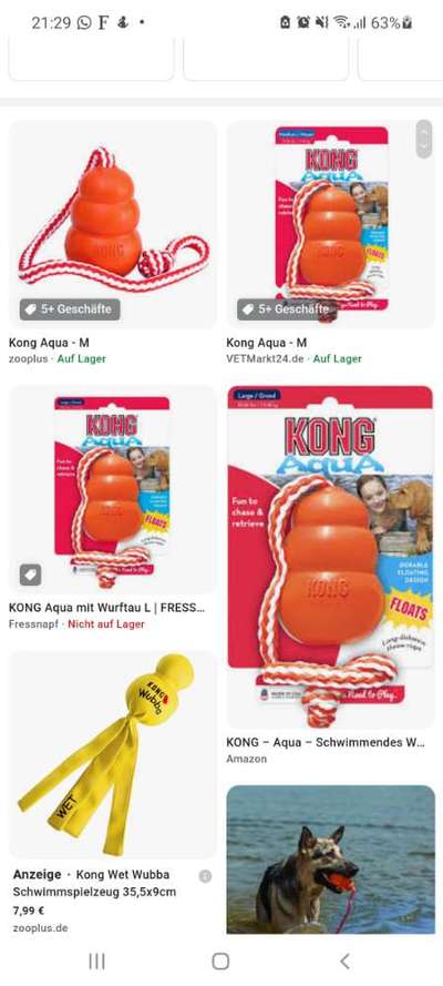 Alles rund um den Schäferhund, diskutieren erwünscht.-Beitrag-Bild