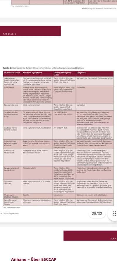 Rücksicht und die "Chemiekeule" beim Hund.-Beitrag-Bild