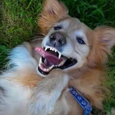 Das beste grinsefoto-Beitrag-Bild