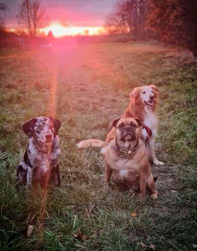 SonnenSTRAHLEN-Beitrag-Bild