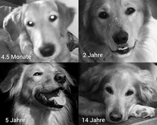 Sie werden so schnell groß!-Beitrag-Bild