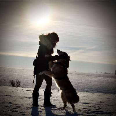 Schnee Foto-Beitrag-Bild