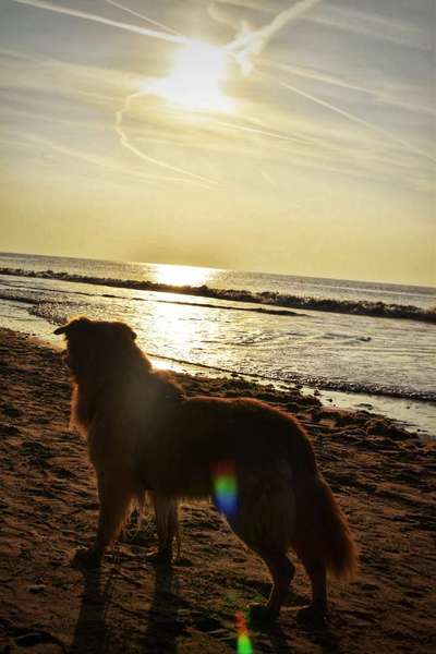 Eure Strandbilder :)-Beitrag-Bild