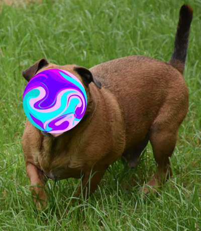 Der Gewichts-Thread-Beitrag-Bild