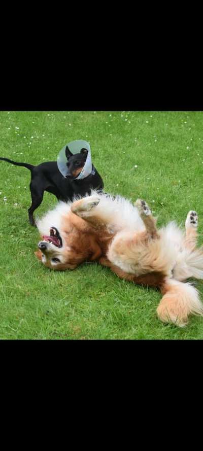 Ratespaß geht weiter-Beitrag-Bild