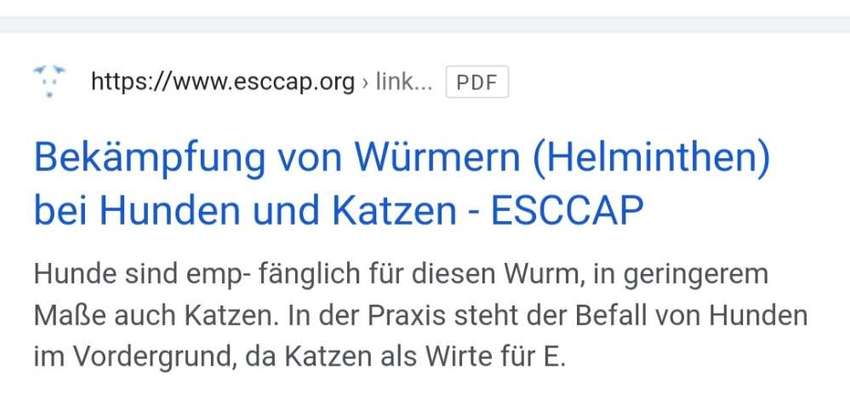 Rücksicht und die "Chemiekeule" beim Hund.-Beitrag-Bild