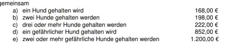 Hundesteuer Betrag-Beitrag-Bild