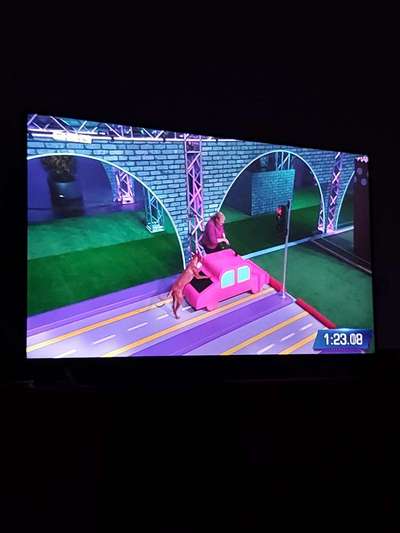 Top Dog-der Live Ticker Thread-Beitrag-Bild