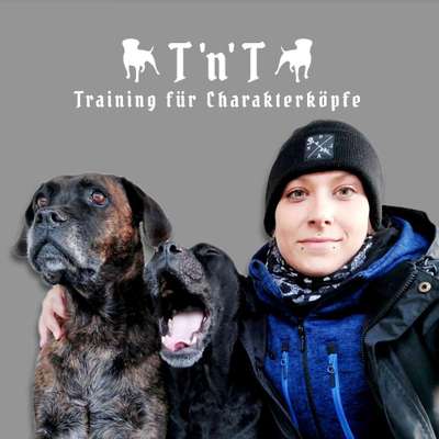 Hundeschulen-T 'n' T - Training für Charakterköpfe-Bild
