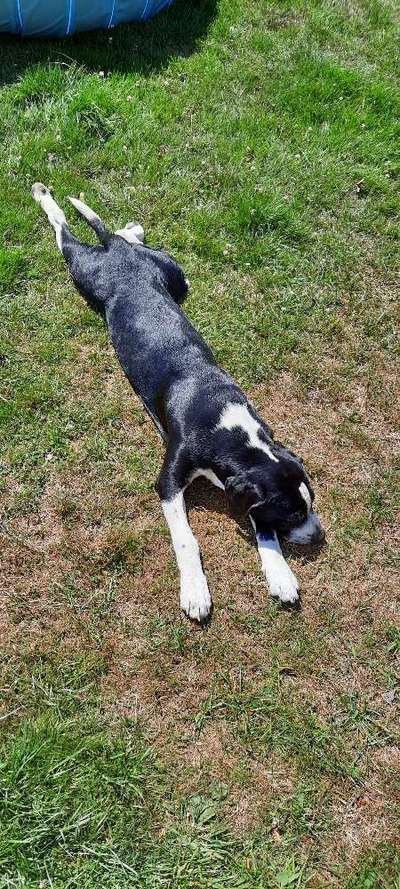 FOTO-Challenge  NR. 91: Die pure Entspannung-Beitrag-Bild