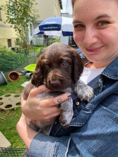 Challenge 33 - Du und dein Hund-Beitrag-Bild