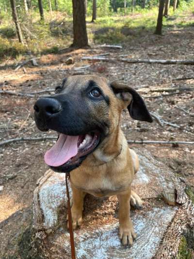 Handyfoto challenge Nr. 13: Waschlappen raus!-Beitrag-Bild