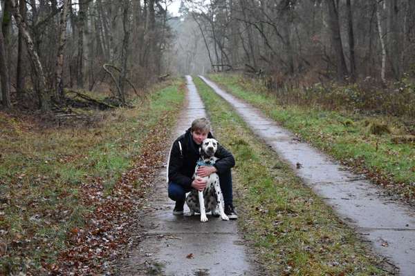 Welpen Bilder !-Beitrag-Bild